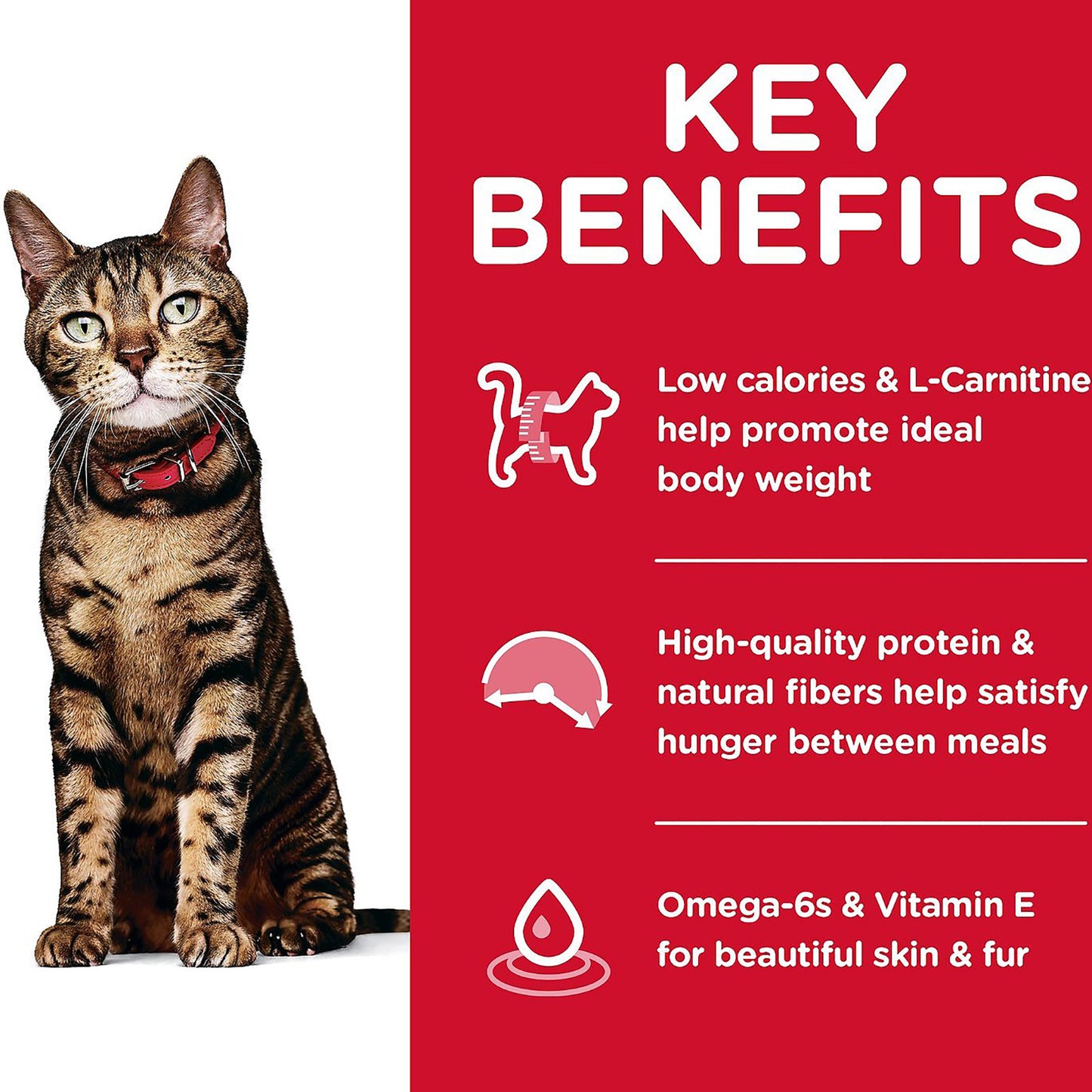 Hills Science Diet Adult Light Dry Cat Food 6kg