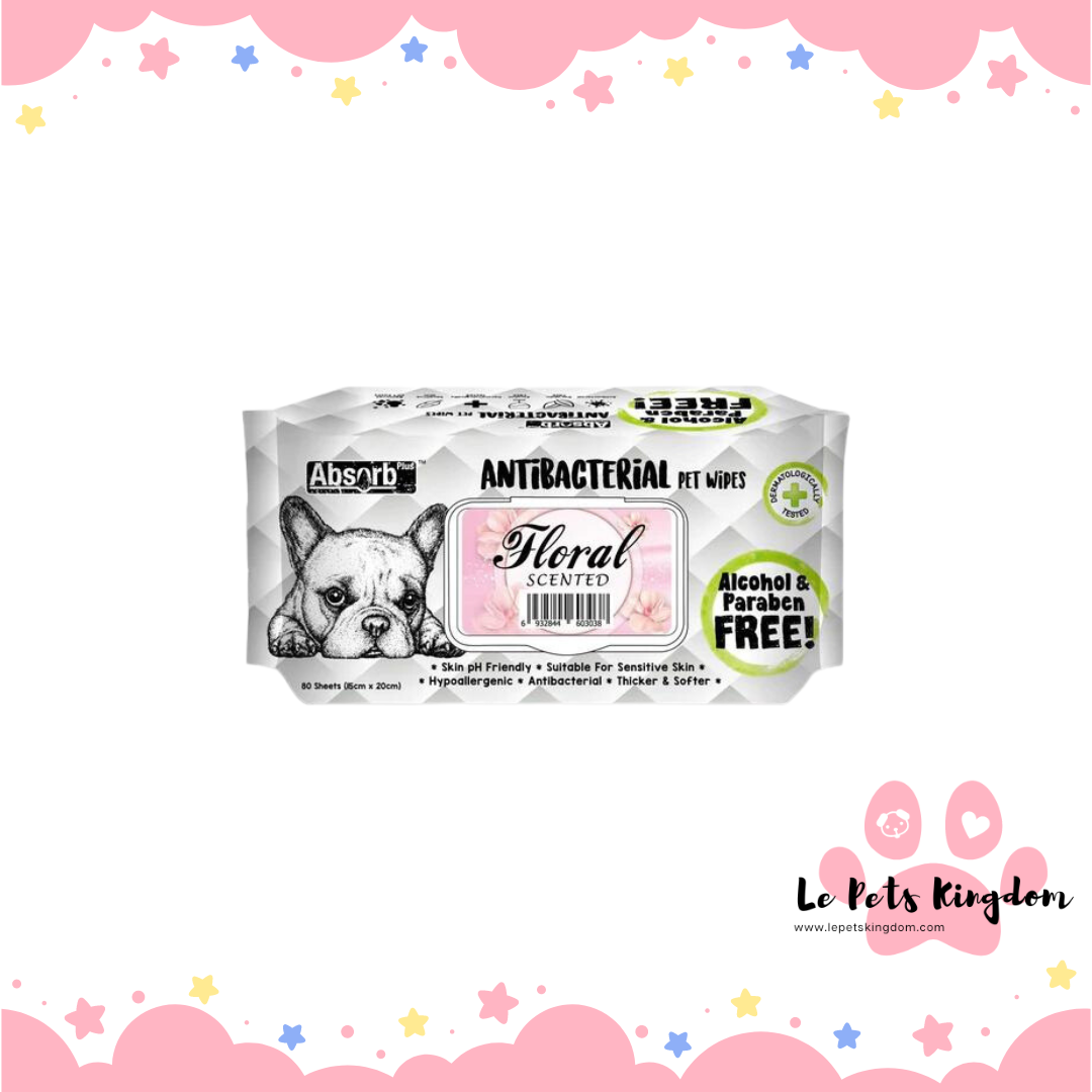 Absorb Plus Antibacterial Pet Wipes 80pcs