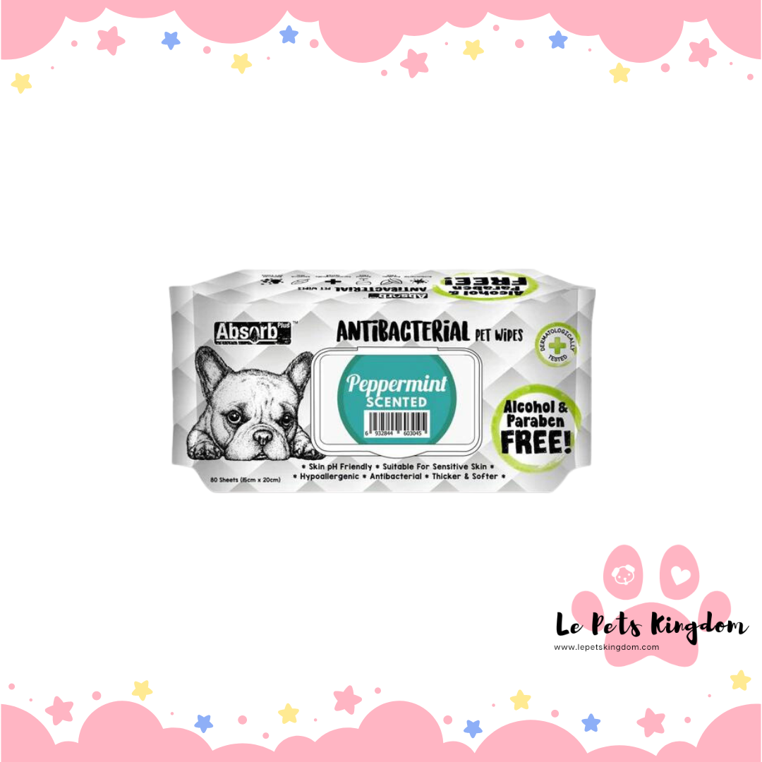 Absorb Plus Antibacterial Pet Wipes 80pcs
