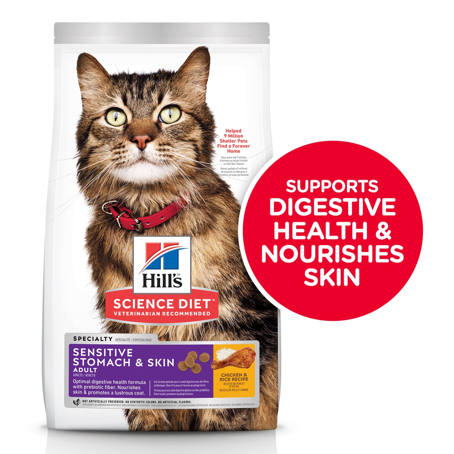 Hills Science Diet Adult Sensitive Stomach & Skin Dry Cat Food