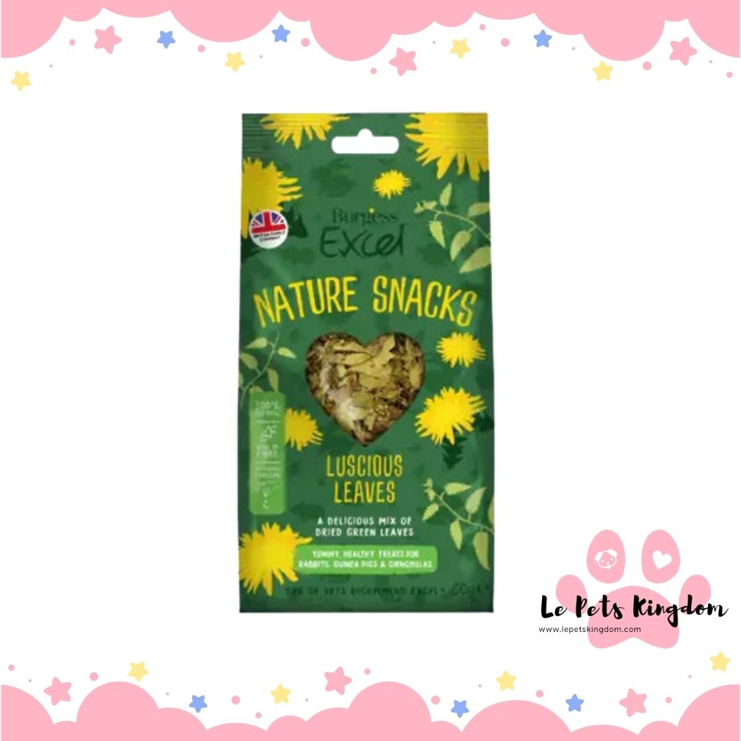 Burgess Excel Nature Snacks Luscious Leaves Treats For Small Animals 60g