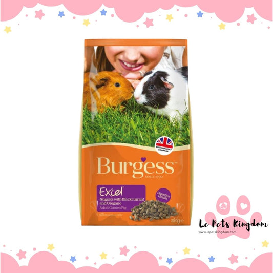 Burgess Excel Tasty Nuggets With Blackcurrant & Oregano For Guinea Pigs 2kg
