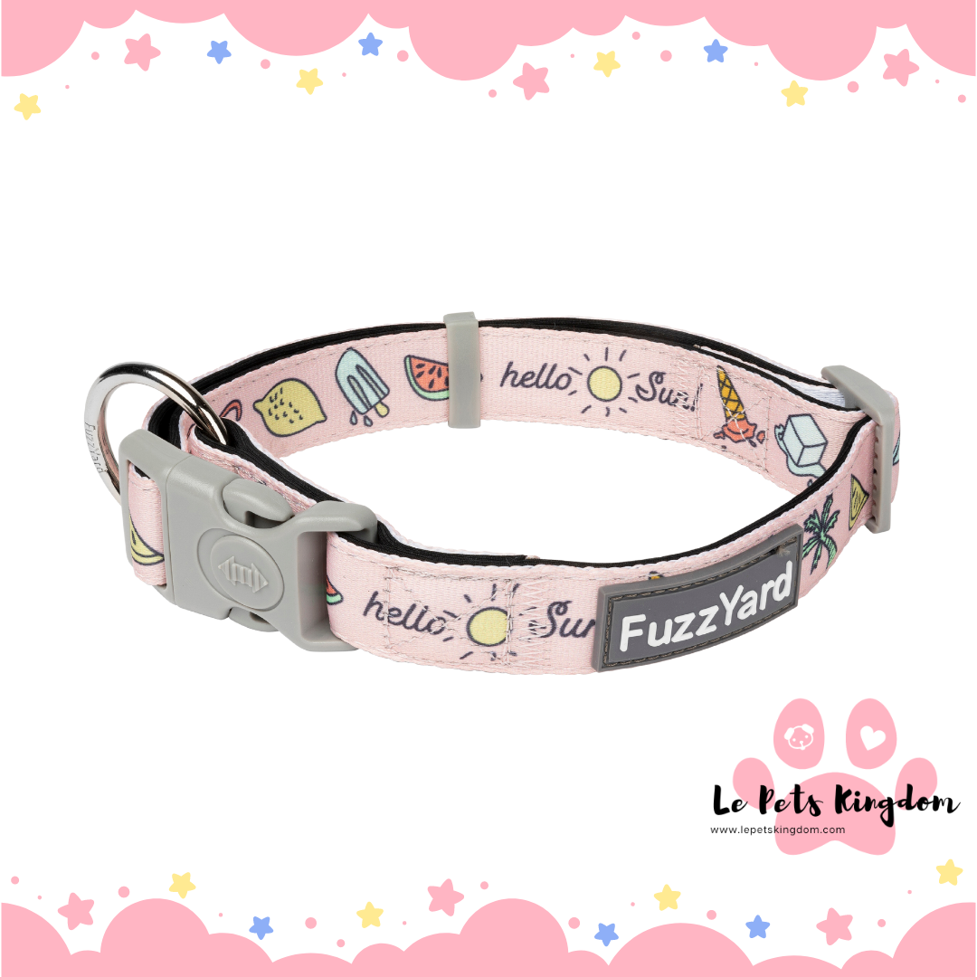 FuzzYard Dog Collar (Hello Sun)