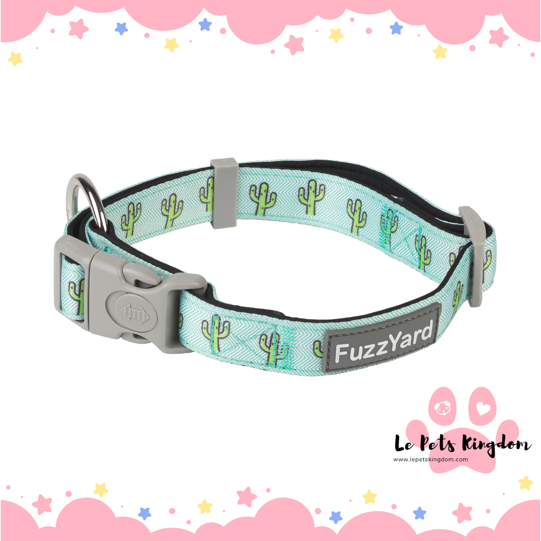 FuzzYard Dog Collar (Tucson)