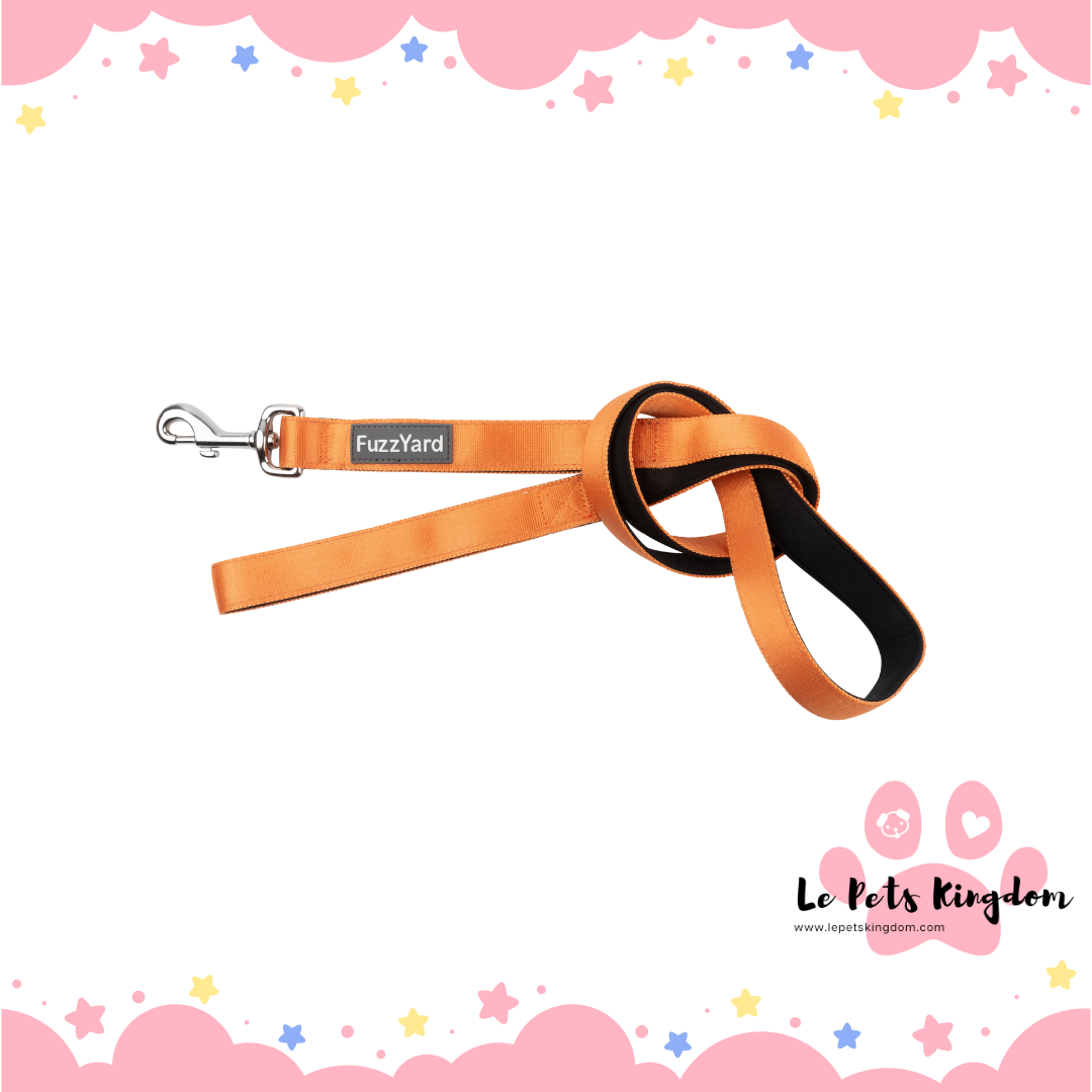 FuzzYard Dog Leash (Crush)