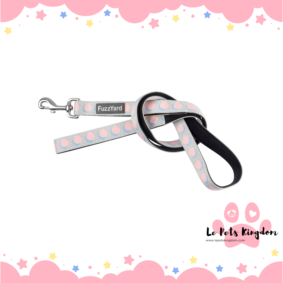 FuzzYard Dog Leash (Dippin)