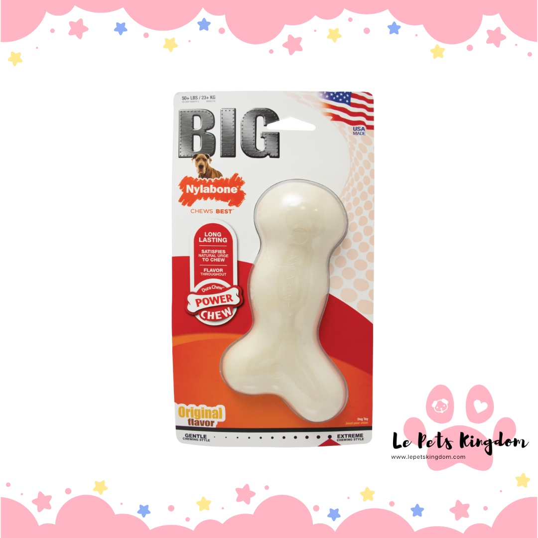Nylabone top galileo souper