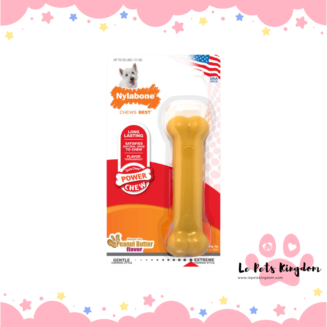 Nylabone Dura Chew Peanut Butter Regular