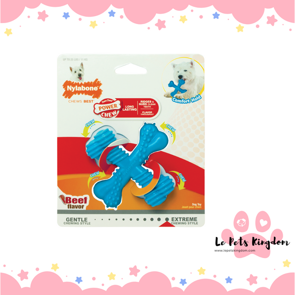 Nylabone Dura Power Chew 'X' Bone Beef Regular Dog Chew