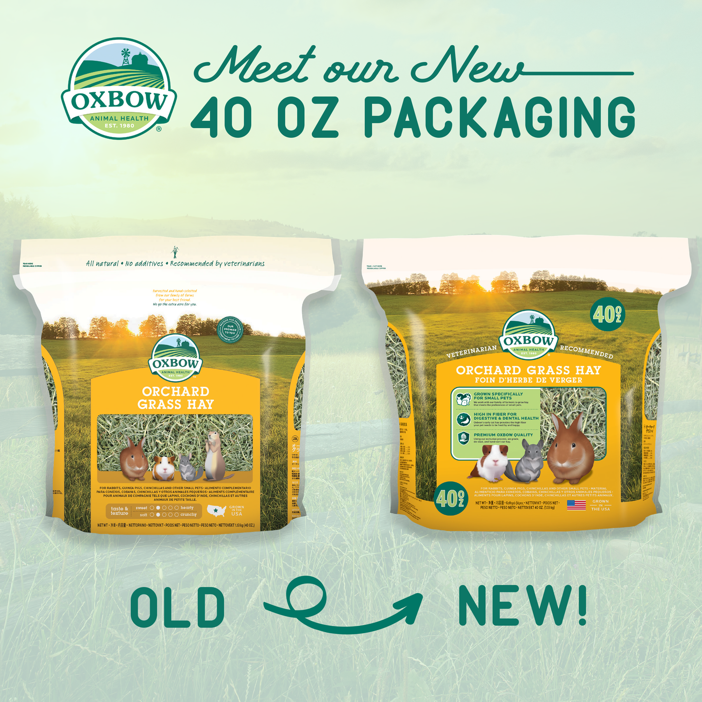 Oxbow Orchard Grass Hay