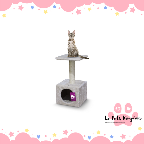 PetRebels - Cheap Bastards Alanta 60