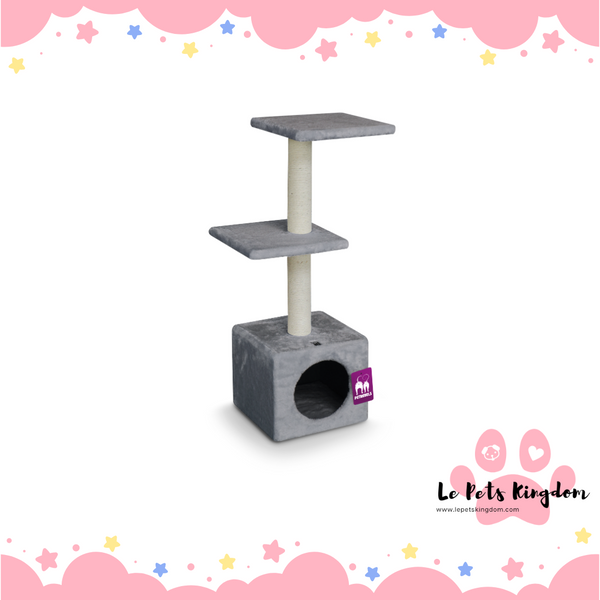 PetRebels - Cheap Bastards Boston 90