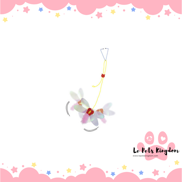 Petz Route - Hanging Butterfly