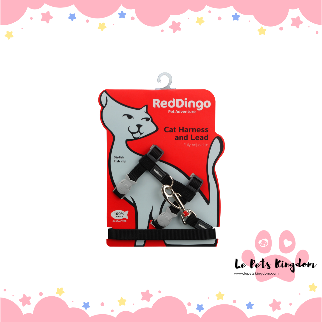RedDingo - Cat Harnesses & Lead Combo