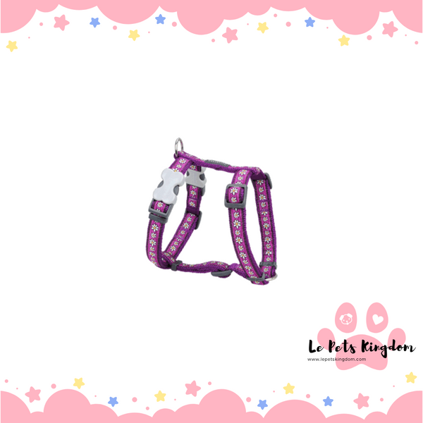 RedDingo - Daisy Dog Harness