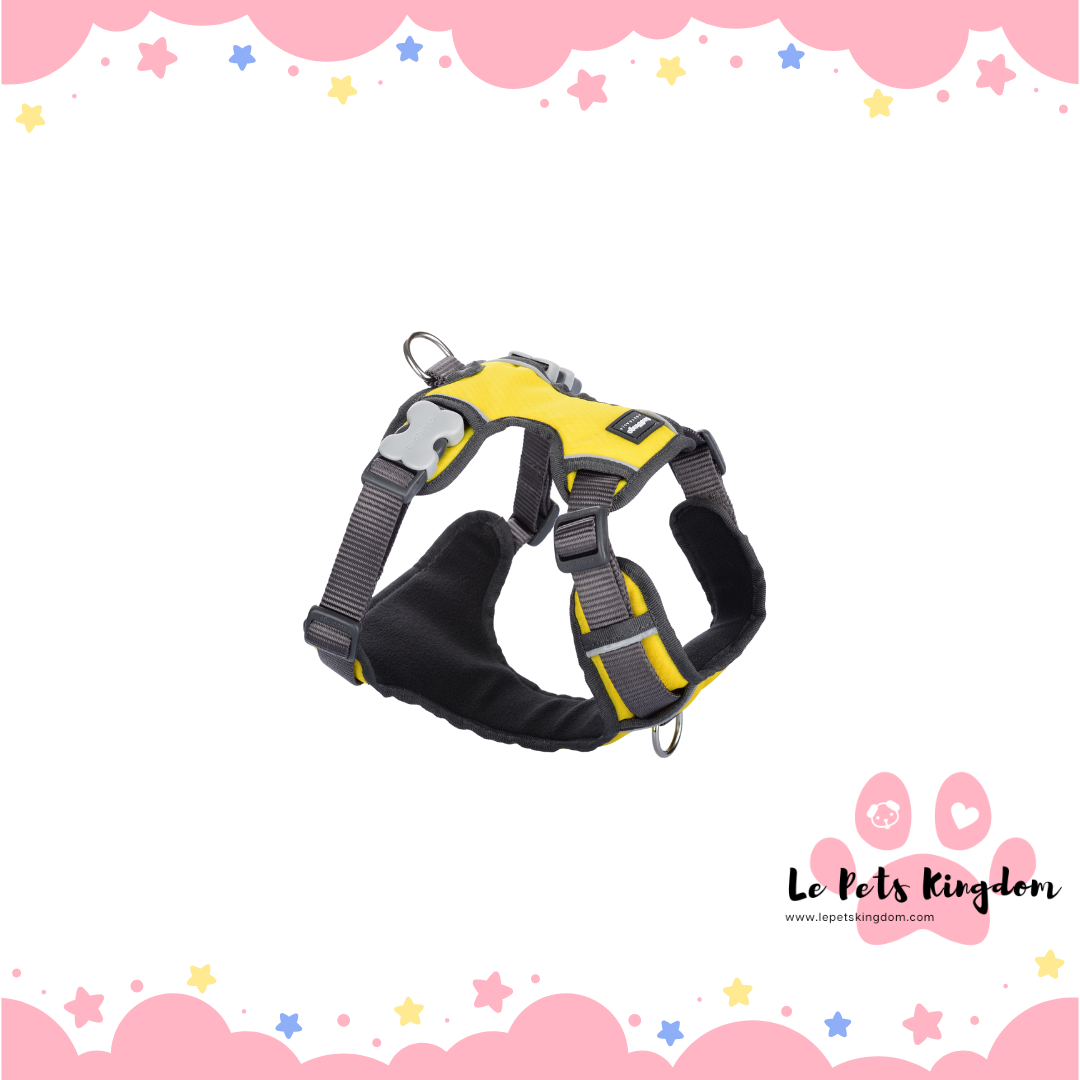 Doggie sales kingdom harness