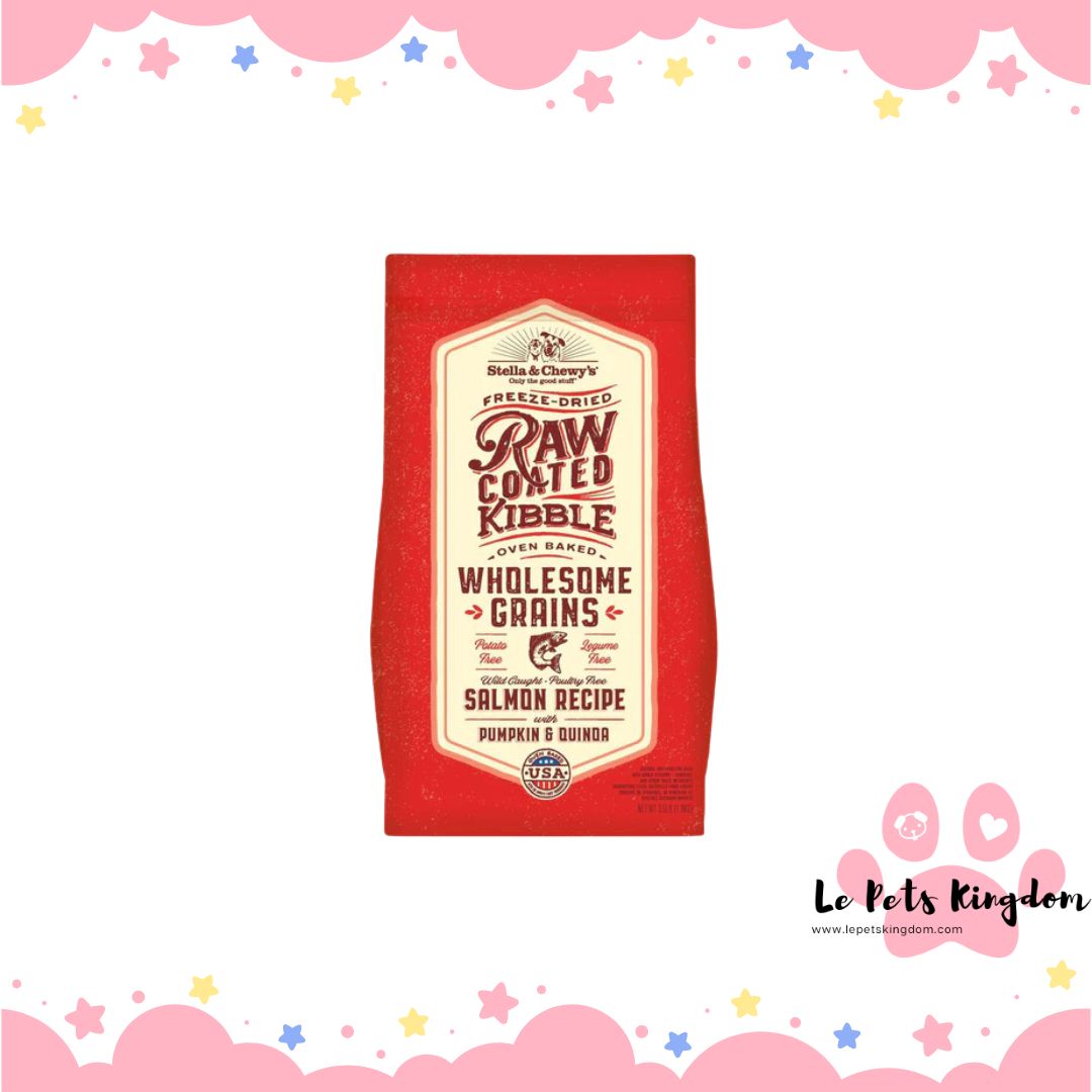 Stella & Chewy’s Freeze-Dried Raw Coated Kibble Wholesome Grains Salmon With Pumpkin & Quinoa Dry Dog Food
