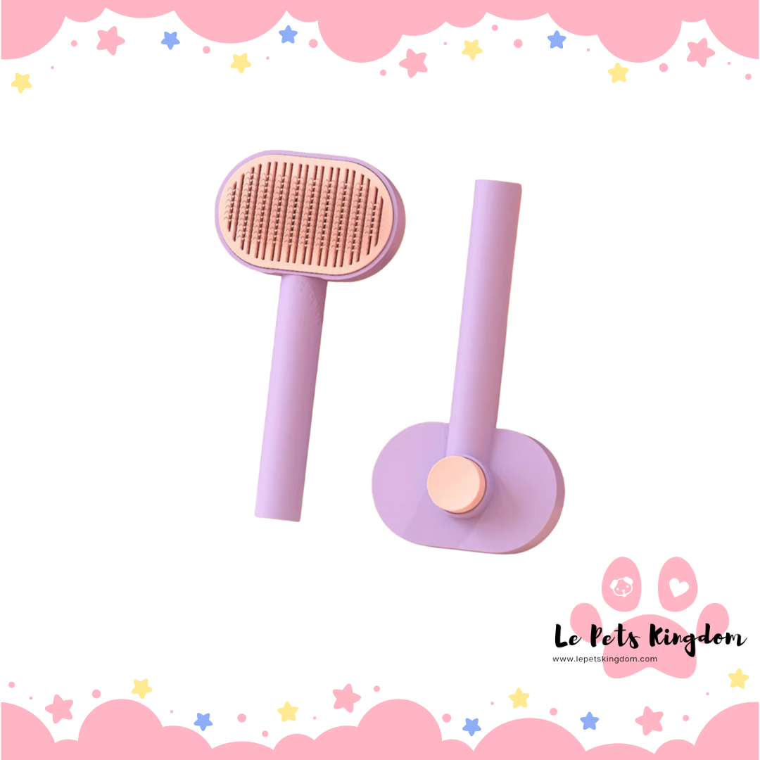 Oval Shaped Push-Out Brush (Purple)