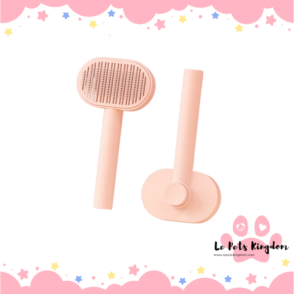 Oval Shaped Push-Out Brush (Peach Pink)