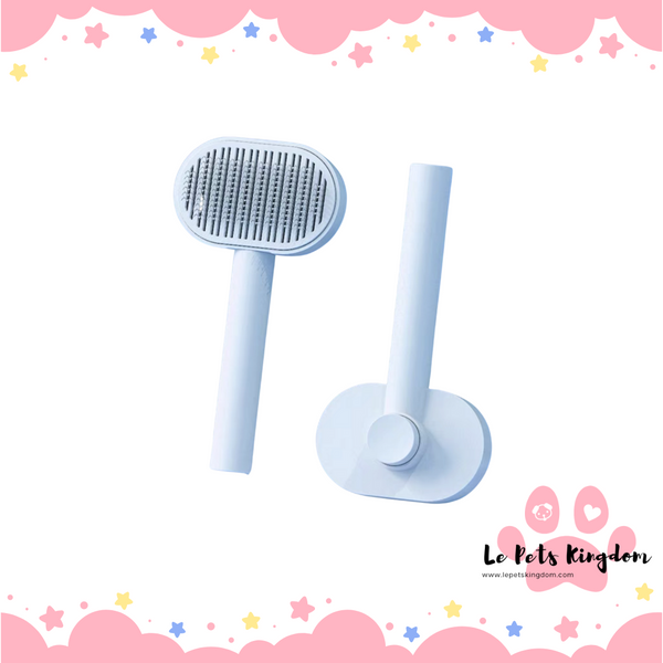 Oval Shaped Push-Out Brush (Blue)