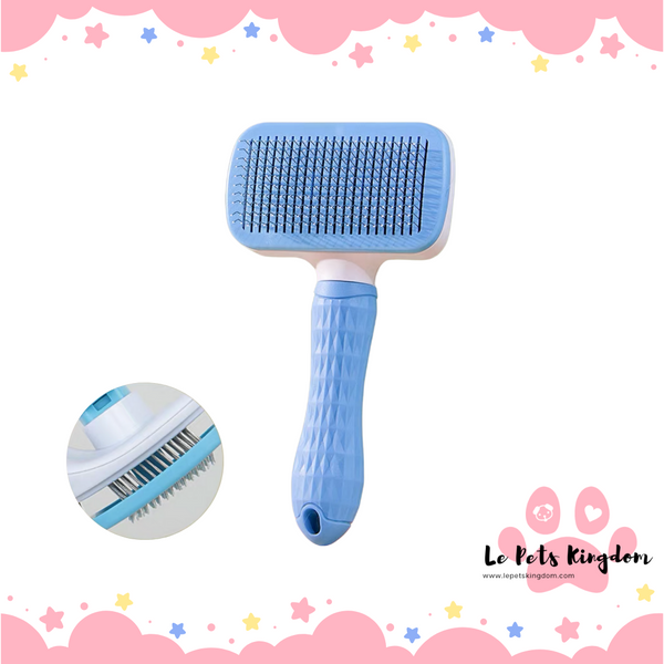 EZPZ Push-Out Brush (Blue)