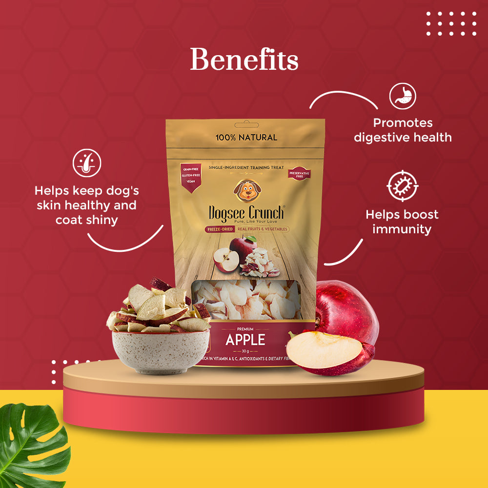 Dogsee Crunch Apple Freeze-Dried Dog Treats 10g